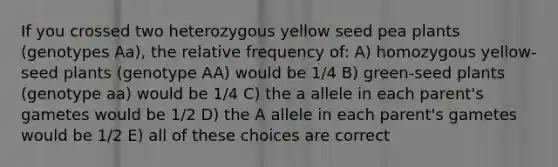 If you crossed two heterozygous yellow seed pea plants (genotypes Aa), the relative frequency of: A) homozygous yellow-seed plants (genotype AA) would be 1/4 B) green-seed plants (genotype aa) would be 1/4 C) the a allele in each parent's gametes would be 1/2 D) the A allele in each parent's gametes would be 1/2 E) all of these choices are correct