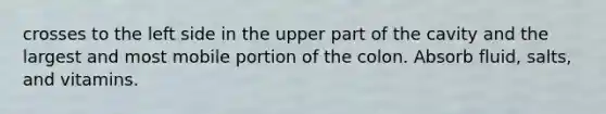 crosses to the left side in the upper part of the cavity and the largest and most mobile portion of the colon. Absorb fluid, salts, and vitamins.