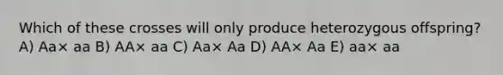 Which of these crosses will only produce heterozygous offspring? A) Aa× aa B) AA× aa C) Aa× Aa D) AA× Aa E) aa× aa