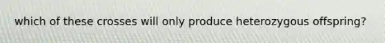 which of these crosses will only produce heterozygous offspring?