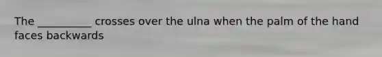 The __________ crosses over the ulna when the palm of the hand faces backwards