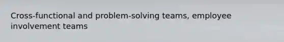 Cross-functional and problem-solving teams, employee involvement teams