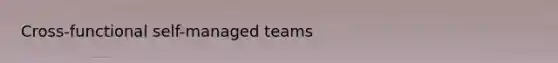 Cross-functional self-managed teams