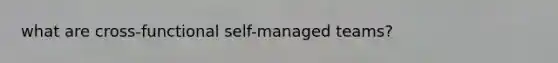 what are cross-functional self-managed teams?