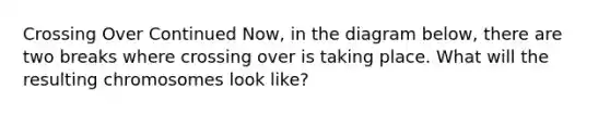 Crossing Over Continued Now, in the diagram below, there are two breaks where crossing over is taking place. What will the resulting chromosomes look like?