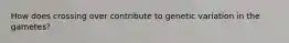 How does crossing over contribute to genetic variation in the gametes?