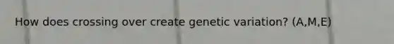 How does crossing over create genetic variation? (A,M,E)