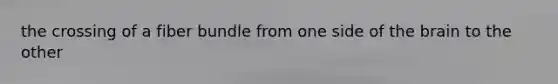 the crossing of a fiber bundle from one side of the brain to the other