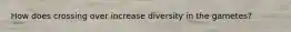 How does crossing over increase diversity in the gametes?