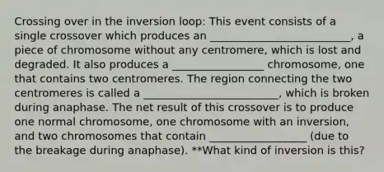 Crossing over in the inversion loop: This event consists of a single crossover which produces an __________________________, a piece of chromosome without any centromere, which is lost and degraded. It also produces a _________________ chromosome, one that contains two centromeres. The region connecting the two centromeres is called a _________________________, which is broken during anaphase. The net result of this crossover is to produce one normal chromosome, one chromosome with an inversion, and two chromosomes that contain __________________ (due to the breakage during anaphase). **What kind of inversion is this?