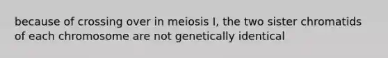 because of crossing over in meiosis I, the two sister chromatids of each chromosome are not genetically identical