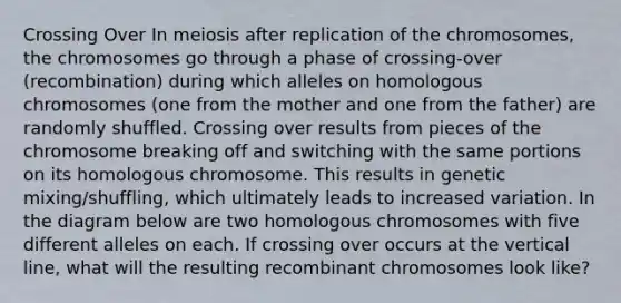 Crossing Over In meiosis after replication of the chromosomes, the chromosomes go through a phase of crossing-over (recombination) during which alleles on homologous chromosomes (one from the mother and one from the father) are randomly shuffled. Crossing over results from pieces of the chromosome breaking off and switching with the same portions on its homologous chromosome. This results in genetic mixing/shuffling, which ultimately leads to increased variation. In the diagram below are two homologous chromosomes with five different alleles on each. If crossing over occurs at the vertical line, what will the resulting recombinant chromosomes look like?