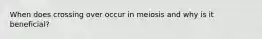 When does crossing over occur in meiosis and why is it beneficial?