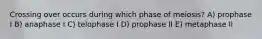 Crossing over occurs during which phase of meiosis? A) prophase I B) anaphase I C) telophase I D) prophase II E) metaphase II