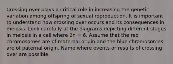 Crossing over plays a critical role in increasing the genetic variation among offspring of sexual reproduction. It is important to understand how crossing over occurs and its consequences in meiosis. Look carefully at the diagrams depicting different stages in meiosis in a cell where 2n = 6. Assume that the red chromosomes are of maternal origin and the blue chromosomes are of paternal origin. Name where events or results of crossing over are possible.