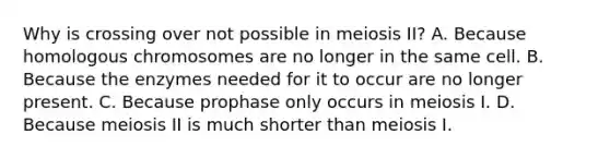 Why is crossing over not possible in meiosis II? A. Because homologous chromosomes are no longer in the same cell. B. Because the enzymes needed for it to occur are no longer present. C. Because prophase only occurs in meiosis I. D. Because meiosis II is much shorter than meiosis I.