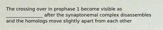 The crossing over in prophase 1 become visible as ________________ after the synaptonemal complex disassembles and the homologs move slightly apart from each other