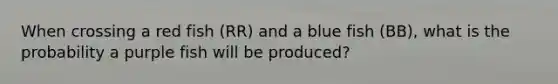 When crossing a red fish (RR) and a blue fish (BB), what is the probability a purple fish will be produced?