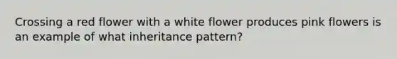 Crossing a red flower with a white flower produces pink flowers is an example of what inheritance pattern?