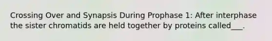 Crossing Over and Synapsis During Prophase 1: After interphase the sister chromatids are held together by proteins called___.