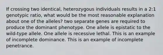 If crossing two identical, heterozygous individuals results in a 2:1 genotypic ratio, what would be the most reasonable explanation about one of the alleles? two separate genes are required to produce the dominant phenotype. One allele is epistatic to the wild-type allele. One allele is recessive lethal. This is an example of incomplete dominance. This is an example of incomplete penetrance.