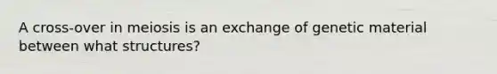 A cross-over in meiosis is an exchange of genetic material between what structures?