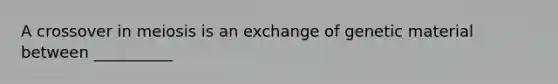 A crossover in meiosis is an exchange of genetic material between __________