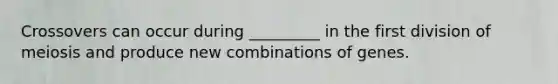Crossovers can occur during _________ in the first division of meiosis and produce new combinations of genes.