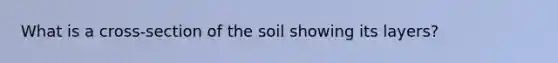 What is a cross-section of the soil showing its layers?