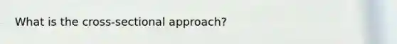 What is the cross-sectional approach?