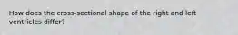 How does the cross-sectional shape of the right and left ventricles differ?