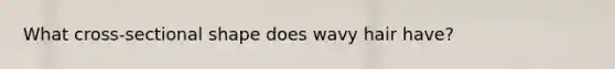 What cross-sectional shape does wavy hair have?