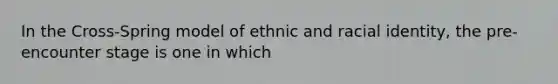 In the Cross-Spring model of ethnic and racial identity, the pre-encounter stage is one in which