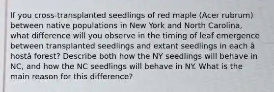 If you cross-transplanted seedlings of red maple (Acer rubrum) between native populations in New York and North Carolina, what difference will you observe in the timing of leaf emergence between transplanted seedlings and extant seedlings in each â hostâ forest? Describe both how the NY seedlings will behave in NC, and how the NC seedlings will behave in NY. What is the main reason for this difference?