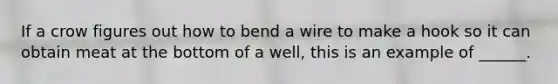 If a crow figures out how to bend a wire to make a hook so it can obtain meat at the bottom of a well, this is an example of ______.