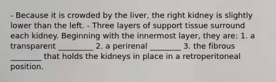 - Because it is crowded by the liver, the right kidney is slightly lower than the left. - Three layers of support tissue surround each kidney. Beginning with the innermost layer, they are: 1. a transparent _________ 2. a perirenal ________ 3. the fibrous ________ that holds the kidneys in place in a retroperitoneal position.