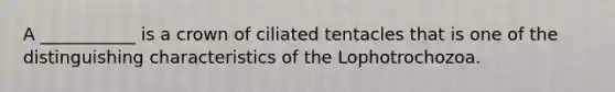 A ___________ is a crown of ciliated tentacles that is one of the distinguishing characteristics of the Lophotrochozoa.