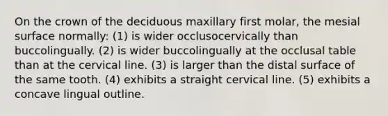 On the crown of the deciduous maxillary first molar, the mesial surface normally: (1) is wider occlusocervically than buccolingually. (2) is wider buccolingually at the occlusal table than at the cervical line. (3) is larger than the distal surface of the same tooth. (4) exhibits a straight cervical line. (5) exhibits a concave lingual outline.