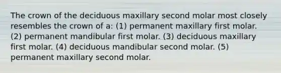 The crown of the deciduous maxillary second molar most closely resembles the crown of a: (1) permanent maxillary first molar. (2) permanent mandibular first molar. (3) deciduous maxillary first molar. (4) deciduous mandibular second molar. (5) permanent maxillary second molar.