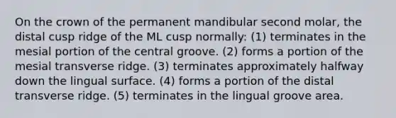 On the crown of the permanent mandibular second molar, the distal cusp ridge of the ML cusp normally: (1) terminates in the mesial portion of the central groove. (2) forms a portion of the mesial transverse ridge. (3) terminates approximately halfway down the lingual surface. (4) forms a portion of the distal transverse ridge. (5) terminates in the lingual groove area.