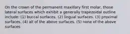 On the crown of the permanent maxillary first molar, those lateral surfaces which exhibit a generally trapezoidal outline include: (1) buccal surfaces. (2) lingual surfaces. (3) proximal surfaces. (4) all of the above surfaces. (5) none of the above surfaces