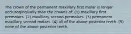 The crown of the permanent maxillary first molar is longer occlusogingivally than the crowns of: (1) maxillary first premolars. (2) maxillary second premolars. (3) permanent maxillary second molars. (4) all of the above posterior teeth. (5) none of the above posterior teeth.