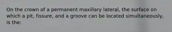 On the crown of a permanent maxillary lateral, the surface on which a pit, fissure, and a groove can be located simultaneously, is the: