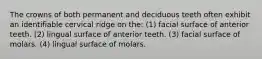 The crowns of both permanent and deciduous teeth often exhibit an identifiable cervical ridge on the: (1) facial surface of anterior teeth. (2) lingual surface of anterior teeth. (3) facial surface of molars. (4) lingual surface of molars.