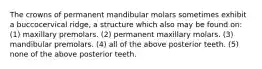 The crowns of permanent mandibular molars sometimes exhibit a buccocervical ridge, a structure which also may be found on: (1) maxillary premolars. (2) permanent maxillary molars. (3) mandibular premolars. (4) all of the above posterior teeth. (5) none of the above posterior teeth.