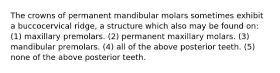 The crowns of permanent mandibular molars sometimes exhibit a buccocervical ridge, a structure which also may be found on: (1) maxillary premolars. (2) permanent maxillary molars. (3) mandibular premolars. (4) all of the above posterior teeth. (5) none of the above posterior teeth.