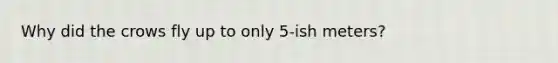 Why did the crows fly up to only 5-ish meters?