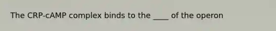 The CRP-cAMP complex binds to the ____ of the operon