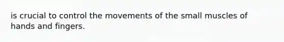 is crucial to control the movements of the small muscles of hands and fingers.