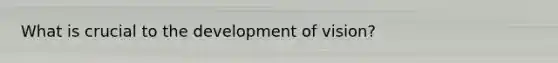 What is crucial to the development of vision?